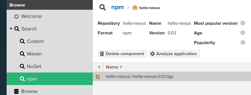 package that publish to nexus npm