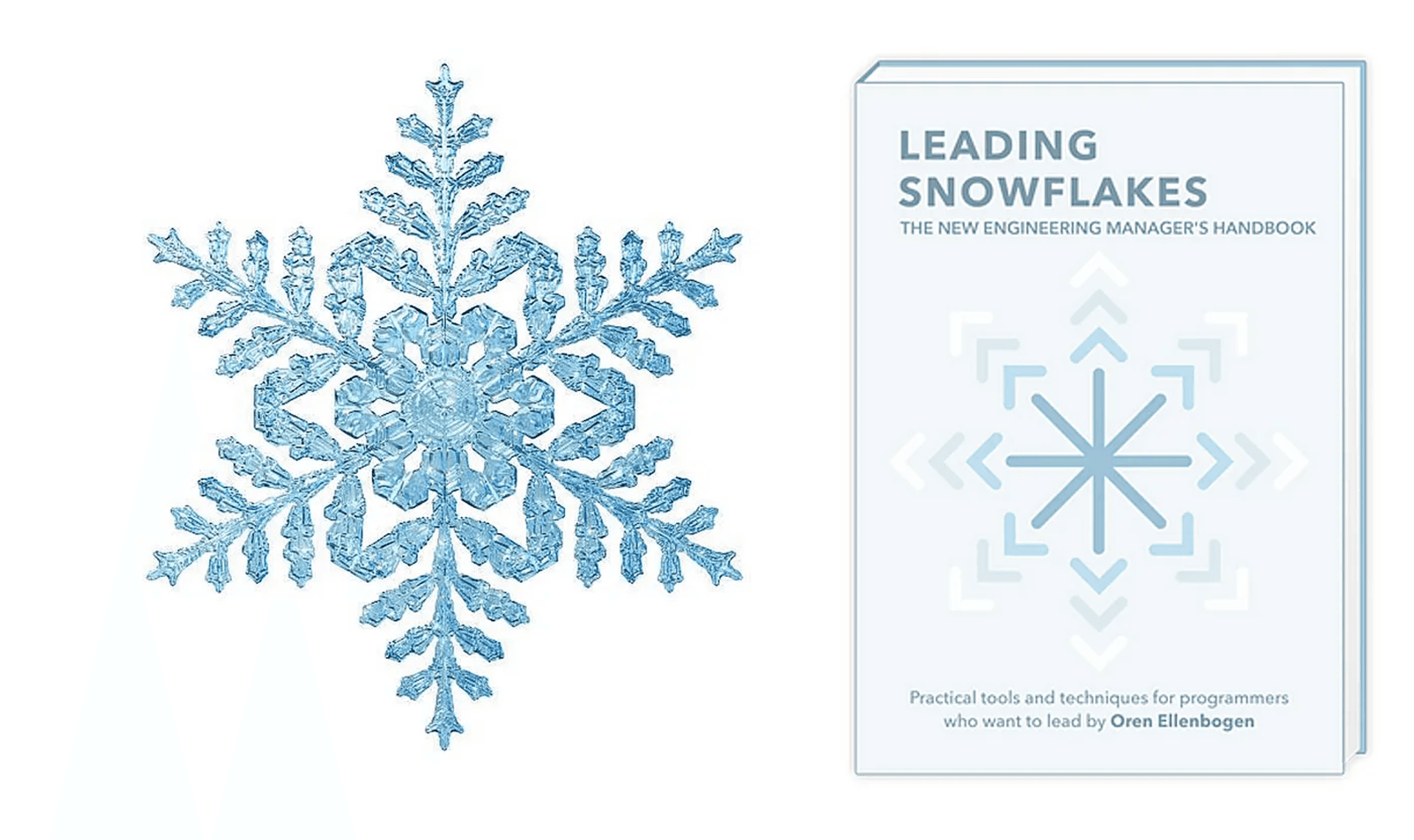 รีวิวหนังสือ: "Leading Snowflake" โดย โอเรน เอเลนบอเกน