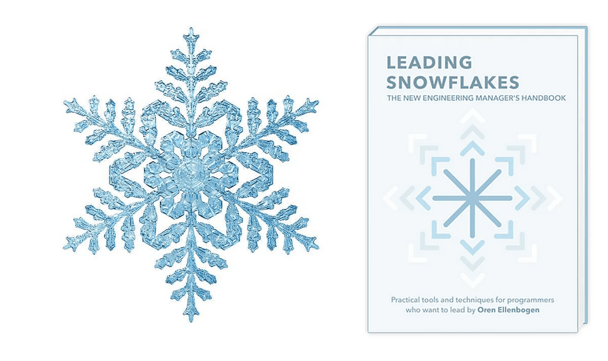 Snowflake Book cover